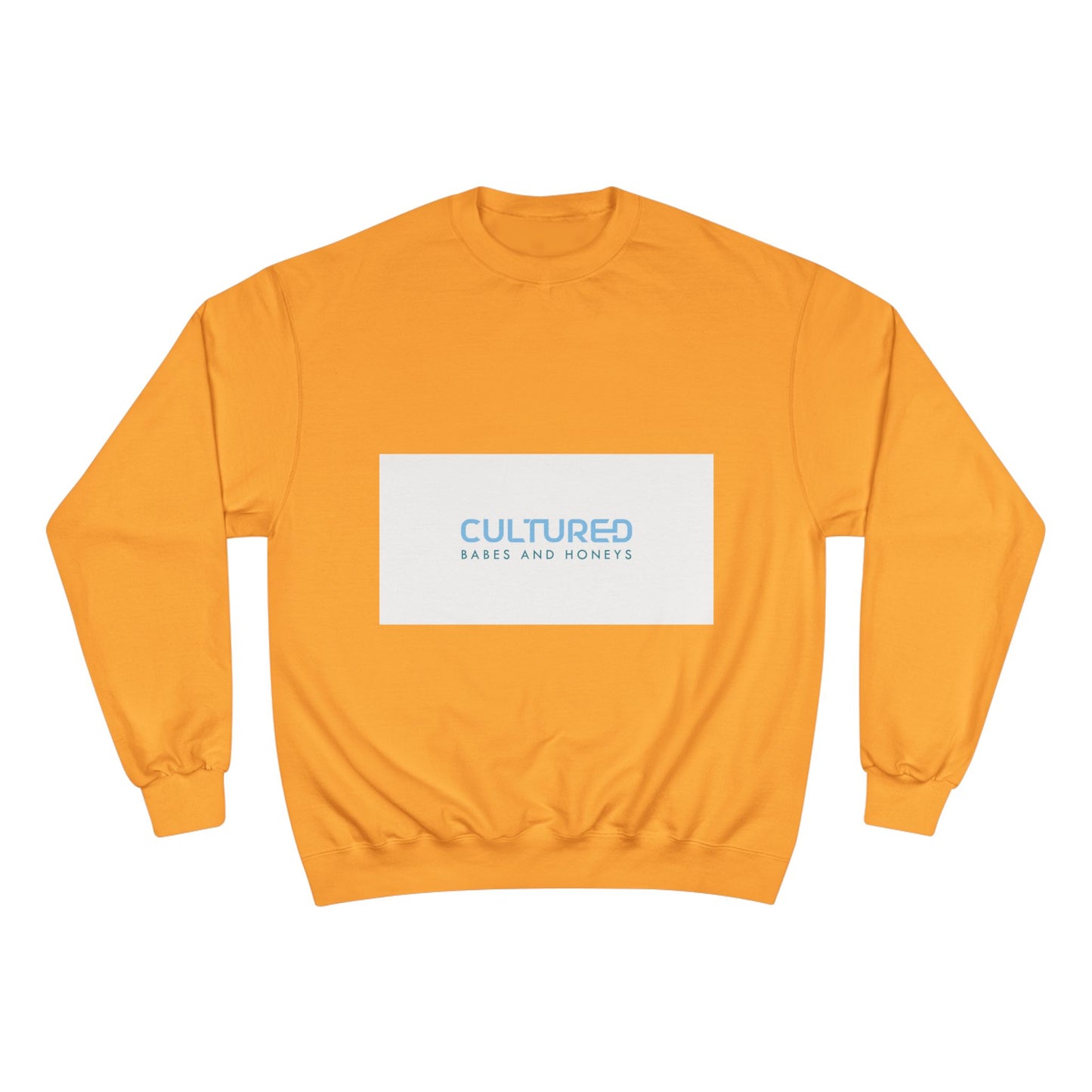 Champion Sweatshirt