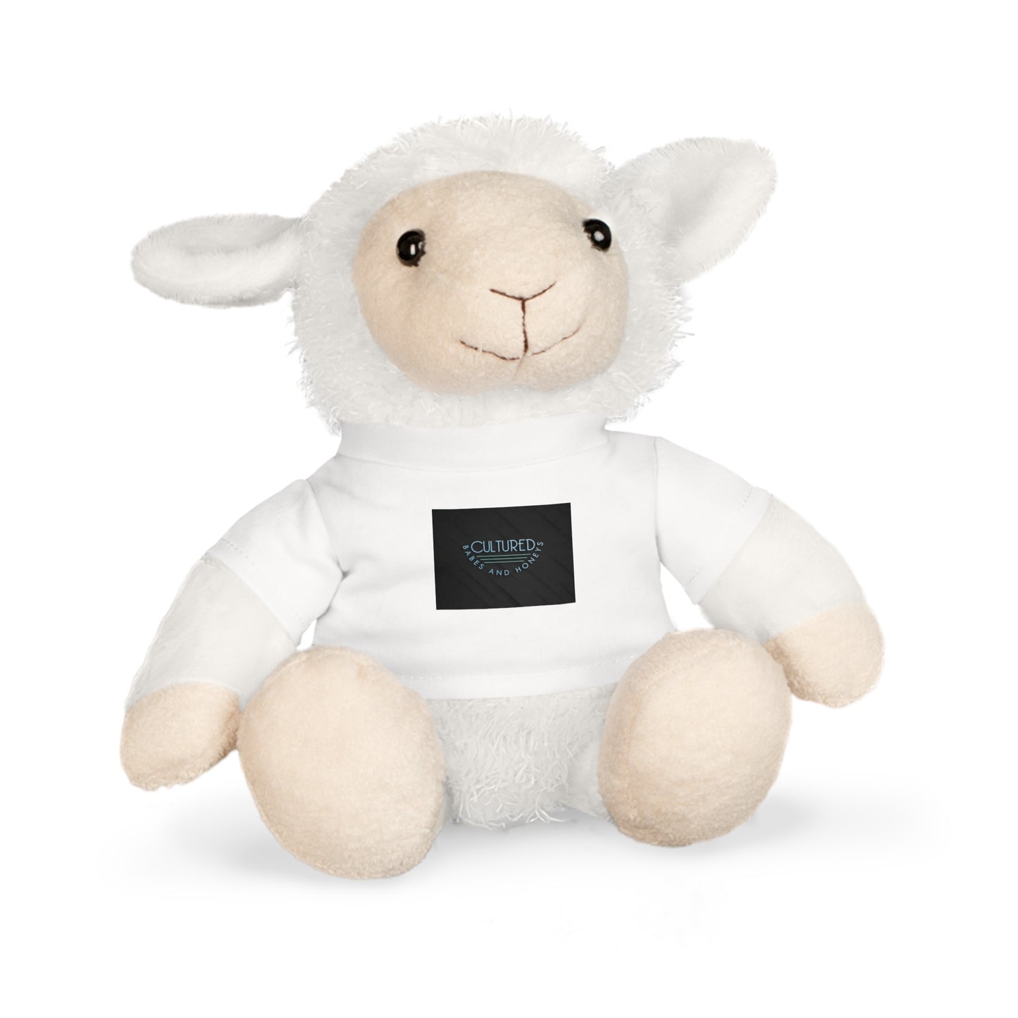 Plush Toy with T-Shirt