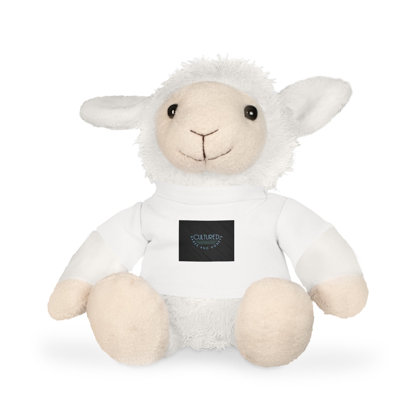 Plush Toy with T-Shirt